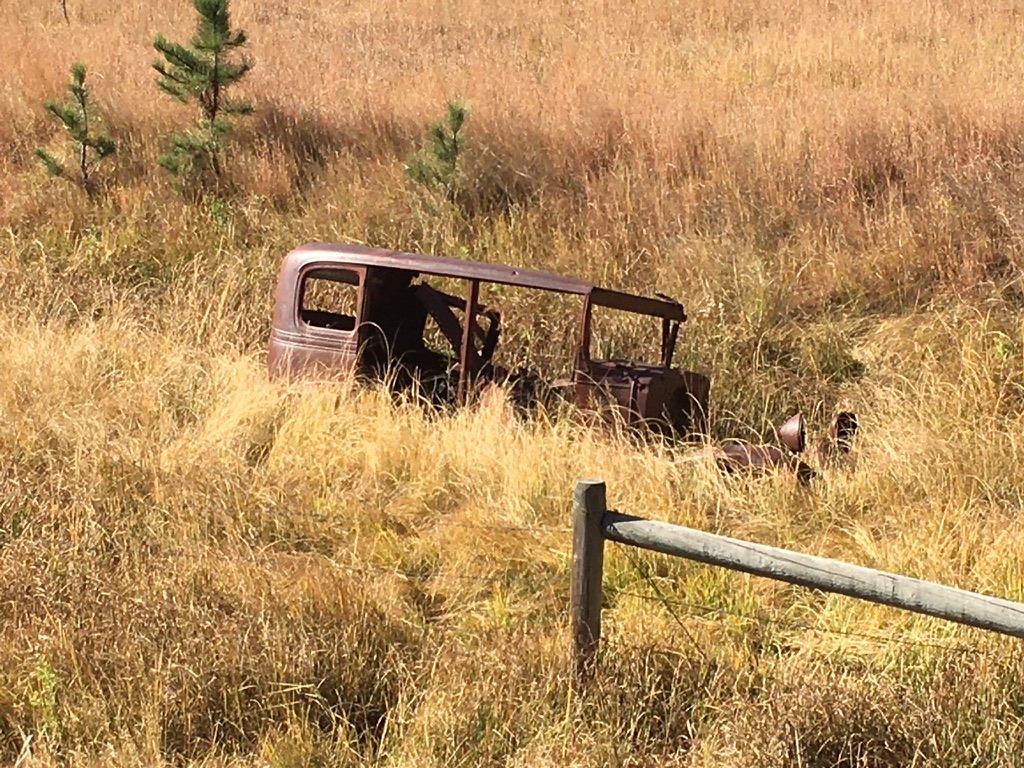 Mickelson Trail South Out of Custer #1, Oct 7th